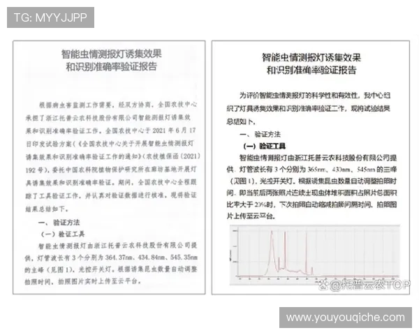 云开在线登录安全验证机制详解保障账号安全的多重防护措施